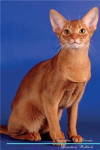 Abyssinian Cat Affirmations Workbook Abyssinian Cat Presents