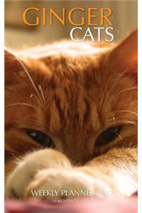 Ginger Cats Weekly Planner 2017