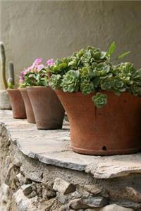 Charming Terracotta Flowerpots on a Stone Wall in Crete Greece Journal