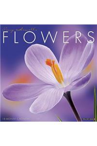 Flowers 2019 Wall Calendar