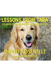 Lessons from Tara: Life Advice from the World's Most Brilliant Dog