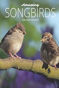 Amazing Songbirds 2020 Desk Calendar