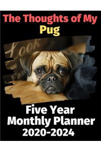 The Thoughts of My Pug