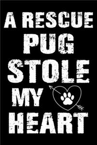 A Rescue Pug Stole My Heart