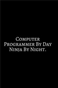 Computer Programmer By Day