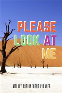 Please Look At Me