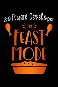 Software Developer in feast mode