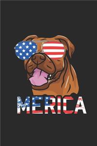 Merica Boxer