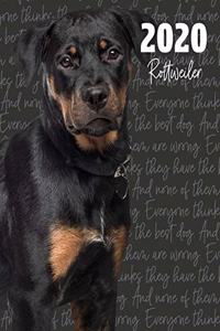 2020 Rottweiler