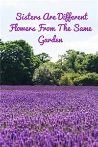 Sisters Are Different Flowers From The Same Garden