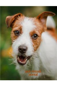 Jack Russell Journal