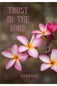 Trust In The Lord