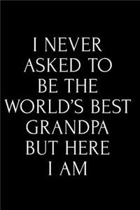 I Never Asked to Be the World's Best Grandpa But Here I Am