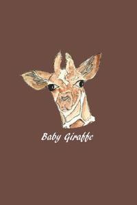 Baby Giraffe