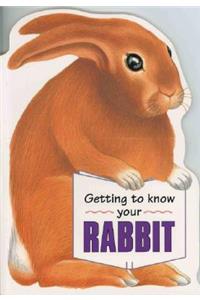 Getting to Know Your Rabbit