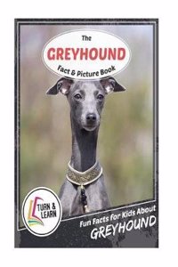 The Greyhound Fact and Picture Book: Fun Facts for Kids About Greyhound (Turn and Learn)