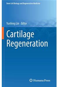 Cartilage Regeneration