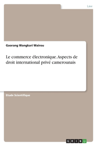 commerce électronique. Aspects de droit international privé camerounais