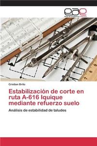 Estabilización de corte en ruta A-616 Iquique mediante refuerzo suelo