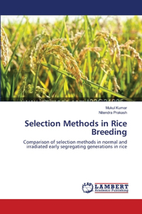 Selection Methods in Rice Breeding