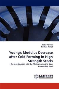 Young's Modulus Decrease after Cold Forming in High Strength Steels