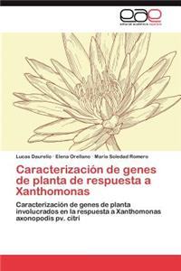 Caracterización de genes de planta de respuesta a Xanthomonas