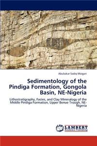 Sedimentology of the Pindiga Formation, Gongola Basin, Ne-Nigeria