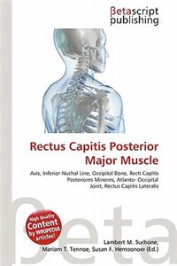 Rectus Capitis Posterior Major Muscle
