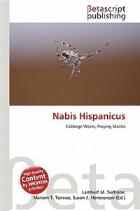 Nabis Hispanicus