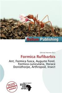 Formica Rufibarbis