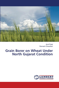 Grain Borer on Wheat Under North Gujarat Condition