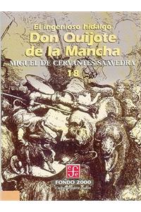 El Ingenioso Hidalgo Don Quijote de La Mancha, 20