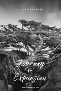 The Journey to Expansion