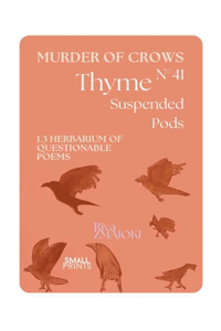 ThymeN°41 - Suspended Pods