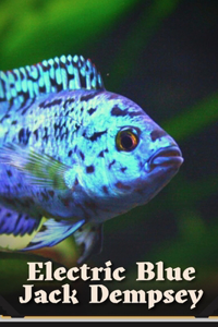 Electric Blue Jack Dempsey