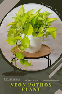 Neon Pothos Plant