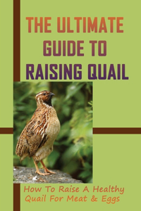The Ultimate Guide To Raising Quail