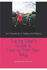The Big Sister's Guide to How to Train Your Baby