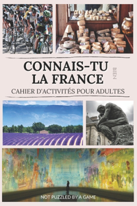 Connais-tu bien la France - Cahier d'activités pour adultes