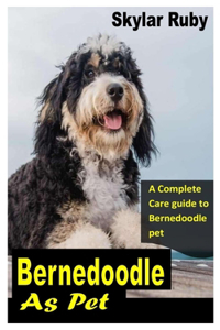 Bernedoodle as Pet