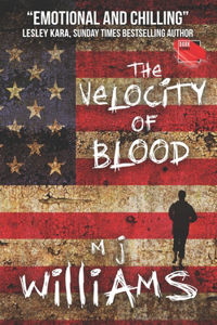 Velocity of Blood