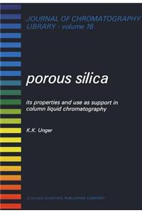 Porous Silica