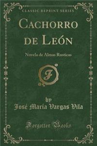 Cachorro de León