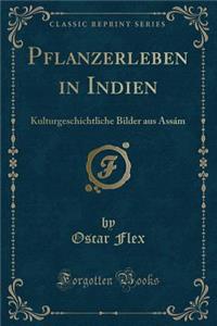 Pflanzerleben in Indien