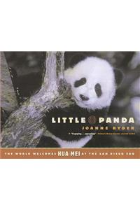 Little Panda