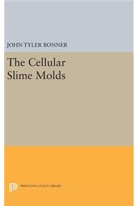 Cellular Slime Molds
