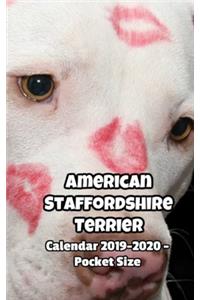 American Staffordshire Terrier Calendar 2019-2020 - Pocket Size