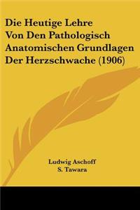 Die Heutige Lehre Von Den Pathologisch Anatomischen Grundlagen Der Herzschwache (1906)