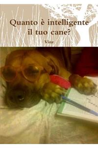 Quanto è intelligente il tuo cane?