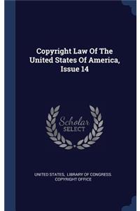 Copyright Law Of The United States Of America, Issue 14